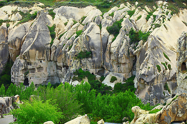 포토 JPG 주간 나무 식물 해외풍경 해외 유적 중동 유적지 자연 바위산 카파도키아 국립공원 풍경 초원 사람없음 야외 골짜기 세계문화유산 암석 바위 동굴 기암괴석 고대도시 괴레메 동굴집 바위동굴 튀르키예 국내포토 자연요소 전통 공원 나라 아시아 고건축 고대문명 문화재 돌 바위_돌 돌산 생태계 파일형식