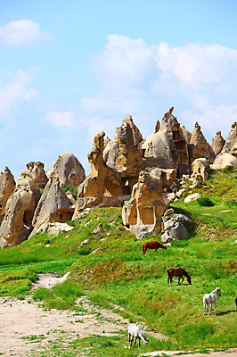 포토 JPG 주간 나무 식물 동물 구름 해외풍경 해외 유적 중동 유적지 자연 하늘 바위산 카파도키아 국립공원 풍경 초원 사람없음 야외 골짜기 맑음 목장 세계문화유산 암석 돌_바위 바위 말_동물 동굴 방목 기암괴석 고대도시 괴레메 동굴집 바위동굴 튀르키예 국내포토 자연요소 전통 공원 나라 아시아 고건축 포유류 날씨 고대문명 문화재 바위_돌 축산업 돌산 생태계 파일형식