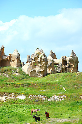 포토 JPG 주간 나무 식물 동물 구름 해외풍경 해외 유적 중동 유적지 자연 하늘 바위산 카파도키아 국립공원 풍경 초원 사람없음 야외 골짜기 맑음 목장 세계문화유산 암석 돌_바위 바위 말_동물 동굴 방목 기암괴석 고대도시 괴레메 동굴집 바위동굴 튀르키예 국내포토 자연요소 전통 공원 나라 아시아 고건축 포유류 날씨 고대문명 문화재 바위_돌 축산업 돌산 생태계 파일형식
