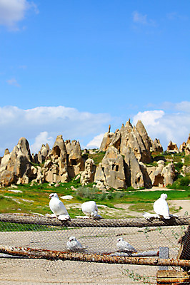 포토 JPG 주간 동물 구름 해외풍경 해외 유적 중동 유적지 자연 조류 하늘 바위산 산 카파도키아 국립공원 풍경 초원 사람없음 야외 울타리 골짜기 맑음 세계문화유산 암석 돌_바위 바위 동굴 기암괴석 고대도시 괴레메 동굴집 바위동굴 튀르키예 국내포토 자연요소 전통 공원 나라 아시아 고건축 날씨 고대문명 담장 문화재 바위_돌 돌산 생태계 파일형식