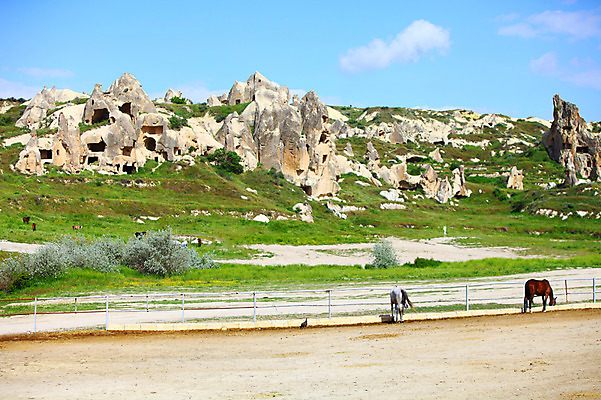 포토 JPG 주간 나무 식물 동물 구름 해외풍경 해외 유적 중동 유적지 자연 하늘 바위산 산 카파도키아 국립공원 풍경 초원 사람없음 야외 울타리 골짜기 맑음 목장 세계문화유산 암석 돌_바위 바위 말_동물 동굴 방목 기암괴석 고대도시 괴레메 동굴집 바위동굴 튀르키예 국내포토 자연요소 전통 공원 나라 아시아 고건축 포유류 날씨 고대문명 담장 문화재 바위_돌 축산업 돌산 생태계 파일형식