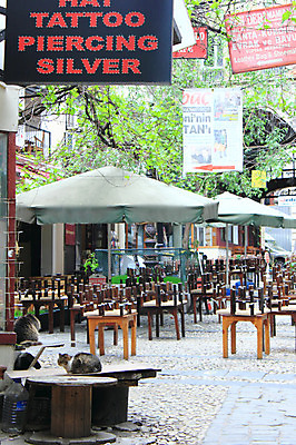 포토 JPG 주간 나무 식물 동물 해외풍경 해외 의자 중동 탁자 간판 이스탄불 풍경 사람없음 야외 도시풍경 상점 식당 고양이 카페 도시 파라솔 천막 노천카페 탁심 동물라이프 반려 야외식당 튀르키예 국내포토 자연요소 라이프스타일 나라 아시아 가구 포유류 반려동물 파일형식