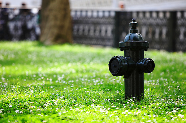 포토 JPG 주간 나무 식물 해외풍경 해외 공원 꽃 컬러 중동 이스탄불 풍경 잔디 초원 사람없음 야외 아웃포커스 초록색 울타리 정원 파이프 소화전 소방시설 튀르키예 국내포토 자연요소 공공시설 나라 아시아 촬영기법 담장 안전장비 시설 파일형식