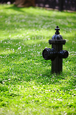 포토 JPG 주간 식물 해외풍경 해외 공원 꽃 컬러 중동 이스탄불 풍경 잔디 초원 사람없음 야외 아웃포커스 초록색 정원 파이프 소화전 소방시설 튀르키예 국내포토 자연요소 공공시설 나라 아시아 촬영기법 안전장비 시설 파일형식