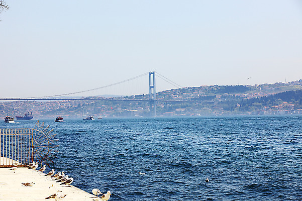 포토 JPG 주간 동물 해외풍경 해외 바다 수상교통 여러마리 중동 갈매기 조류 이스탄불 풍경 해변 사람없음 야외 도시풍경 항구 도시 해안도시 보스포루스 보스포루스대교 가교 선박 튀르키예 국내포토 자연요소 건축물 나라 아시아 교통수단 다수 교통시설 다리_건축물 파일형식