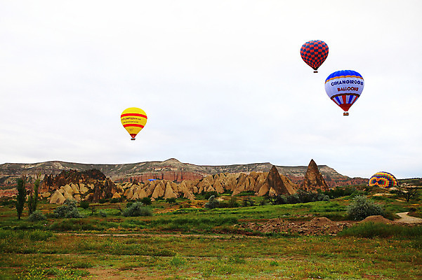 포토 JPG 주간 나무 식물 해외풍경 해외 여행 중동 자연 하늘 레저 바위산 산 카파도키아 풍경 초원 사람없음 야외 레포츠 골짜기 암석 돌_바위 바위 열기구 비행 기암괴석 애드벌룬 풍선 튀르키예 국내포토 자연요소 나라 아시아 항공교통 바위_돌 돌산 생태계 파일형식