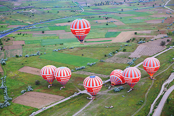 포토 JPG 주간 나무 식물 해외풍경 해외 도로 길 여행 중동 자동차 자연 하늘 레저 카파도키아 풍경 초원 사람없음 야외 레포츠 하이앵글 기구 열기구 비행 애드벌룬 풍선 항공촬영 튀르키예 국내포토 자연요소 나라 아시아 육상교통 뷰포인트 항공교통 교통시설 생태계 파일형식