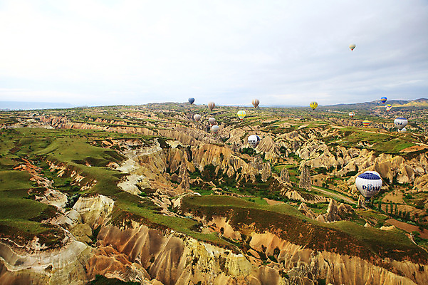 포토 JPG 주간 나무 식물 구름 해외풍경 해외 여행 중동 자연 하늘 레저 바위산 산 카파도키아 풍경 초원 사람없음 야외 레포츠 골짜기 암석 돌_바위 바위 열기구 비행 기암괴석 언덕 애드벌룬 풍선 튀르키예 국내포토 자연요소 나라 아시아 항공교통 바위_돌 돌산 생태계 파일형식