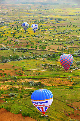 포토 JPG 주간 나무 식물 해외풍경 해외 여행 중동 자연 레저 카파도키아 풍경 초원 야외 레포츠 하이앵글 열기구 비행 애드벌룬 풍선 항공촬영 튀르키예 국내포토 자연요소 나라 아시아 뷰포인트 항공교통 생태계 파일형식