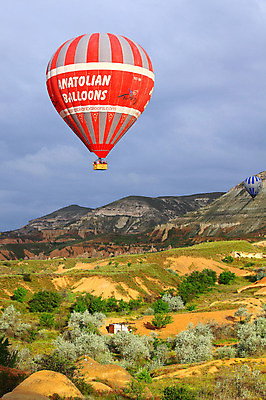 포토 JPG 주간 나무 식물 구름 해외풍경 해외 여행 중동 자연 하늘 레저 바위산 산 카파도키아 풍경 초원 야외 레포츠 열기구 비행 언덕 애드벌룬 풍선 튀르키예 국내포토 자연요소 나라 아시아 항공교통 돌산 생태계 파일형식