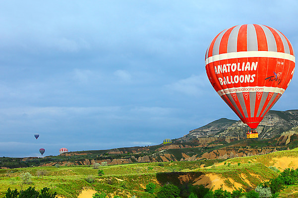 포토 JPG 주간 나무 식물 구름 해외풍경 해외 여행 중동 자연 하늘 레저 바위산 산 카파도키아 풍경 초원 야외 레포츠 암석 돌_바위 열기구 비행 언덕 애드벌룬 풍선 튀르키예 국내포토 자연요소 나라 아시아 항공교통 돌산 생태계 파일형식