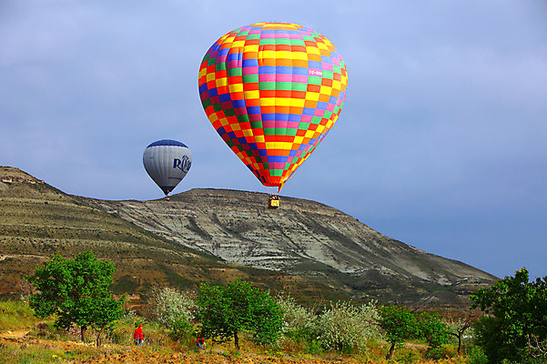 포토 JPG 주간 나무 식물 구름 해외풍경 해외 여행 중동 자연 하늘 레저 바위산 산 카파도키아 풍경 초원 야외 레포츠 돌_바위 바위 열기구 비행 애드벌룬 풍선 튀르키예 국내포토 자연요소 나라 아시아 항공교통 돌산 생태계 파일형식