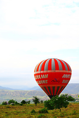 포토 JPG 주간 나무 식물 해외풍경 해외 건축물 여행 중동 자연 레저 산 카파도키아 풍경 초원 사람없음 야외 건물 레포츠 절벽 안개 암석 돌_바위 열기구 비행 애드벌룬 산등성이 풍선 튀르키예 국내포토 자연요소 건축 나라 아시아 항공교통 날씨 생태계 파일형식