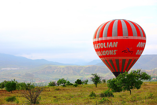 포토 JPG 주간 나무 식물 해외풍경 해외 건축물 여행 중동 자연 레저 산 카파도키아 풍경 초원 사람없음 야외 건물 레포츠 절벽 안개 암석 돌_바위 열기구 비행 애드벌룬 산등성이 풍선 튀르키예 국내포토 자연요소 건축 나라 아시아 항공교통 날씨 생태계 파일형식