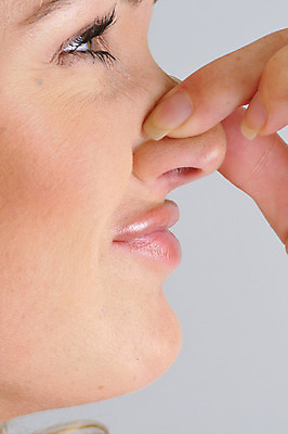 포토 JPG 여자 얼굴 신체 실내 사람 손짓 근접촬영 옆모습 신체부위 코 냄새 여자만 국내포토 뷰포인트 모션 내부 파일형식