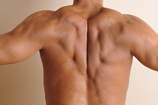 포토 JPG 서양인 외국인 라이프스타일 남자 맨라이프 포즈 신체 근육 실내 한명 사람 근접촬영 상반신 성인 라이프 뒷모습 신체부위 30대 손들기 등 등근육 이두 남자만 남자한명만 성인남자만 성인한명만 성인남자한명만 장년만 장년남자만 장년남자한명만 성인만 국내포토 1 뷰포인트 모션 인종 내부 생활 장년 파일형식