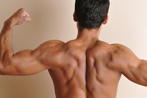 포토 JPG 서양인 외국인 라이프스타일 남자 맨라이프 포즈 신체 근육 실내 한명 사람 근접촬영 상반신 성인 라이프 뒷모습 신체부위 30대 손들기 등 팔 팔근육 등근육 이두 남자만 남자한명만 성인남자만 성인한명만 성인남자한명만 장년만 장년남자만 장년남자한명만 성인만 국내포토 1 뷰포인트 모션 인종 내부 생활 장년 파일형식