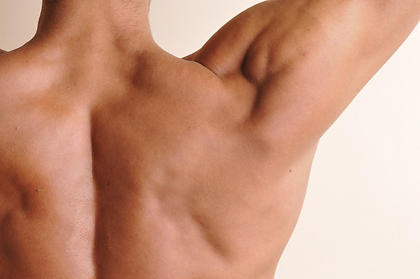 포토 JPG 서양인 외국인 라이프스타일 남자 맨라이프 신체 근육 실내 한명 사람 근접촬영 상반신 성인 라이프 뒷모습 신체부위 30대 등 등근육 이두 남자만 남자한명만 성인남자만 성인한명만 성인남자한명만 장년만 장년남자만 장년남자한명만 성인만 국내포토 1 뷰포인트 인종 내부 생활 장년 파일형식