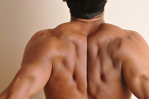 포토 JPG 서양인 외국인 라이프스타일 남자 맨라이프 신체 근육 실내 한명 사람 근접촬영 상반신 성인 라이프 뒷모습 신체부위 30대 등 등근육 이두 남자만 남자한명만 성인남자만 성인한명만 성인남자한명만 장년만 장년남자만 장년남자한명만 성인만 국내포토 1 뷰포인트 인종 내부 생활 장년 파일형식