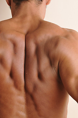 포토 JPG 서양인 외국인 라이프스타일 남자 맨라이프 신체 근육 실내 한명 사람 근접촬영 상반신 성인 라이프 뒷모습 신체부위 30대 등 등근육 이두 남자만 남자한명만 성인남자만 성인한명만 성인남자한명만 장년만 장년남자만 장년남자한명만 성인만 국내포토 1 뷰포인트 인종 내부 생활 장년 파일형식