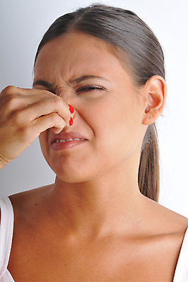 포토 JPG 서양인 외국인 우먼라이프 라이프스타일 여자 실내 한명 사람 20대 성인 라이프 찡그림 냄새 악취 후각 여자만 여자한명만 성인여자만 청년만 청년여자만 성인한명만 청년여자한명만 성인여자한명만 성인만 국내포토 1 표정 인종 청년 내부 생활 감각 파일형식