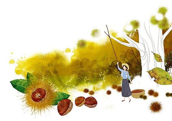 PSD 나무 계절 여자 열매 백그라운드 단풍 잎 일러스트 단풍나무 나뭇잎 한명 사람 풍경 성인 바구니 가을 장대 밤 밤나무 밤따기 여자만 여자한명만 성인여자만 성인만 가을배경 국내일러스트 식물 1 견과류 밤_견과류 파일형식 가을_계절