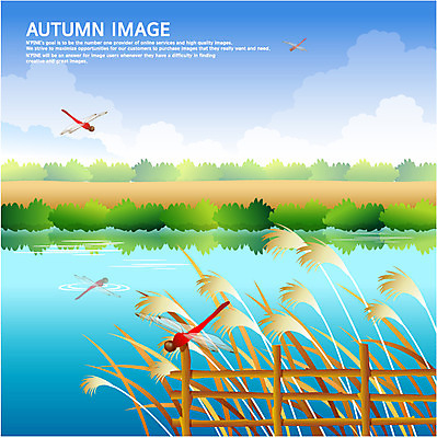 EPS 나무 구름 사계절 계절 곤충 백그라운드 일러스트 하늘 갈대 풍경 사람없음 울타리 강 가을 잠자리 갈대밭 가을배경 국내일러스트 자연요소 식물 동물 담장 파일형식 벡터 가을_계절 갈대_식물