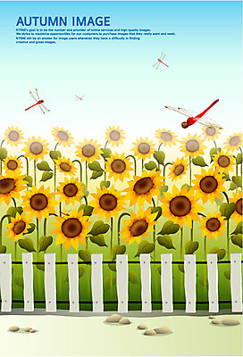 EPS 사계절 계절 꽃 곤충 백그라운드 꽃밭 일러스트 해바라기 풍경 사람없음 울타리 가을 잠자리 고추잠자리 가을배경 국내일러스트 식물 동물 담장 파일형식 벡터 가을_계절