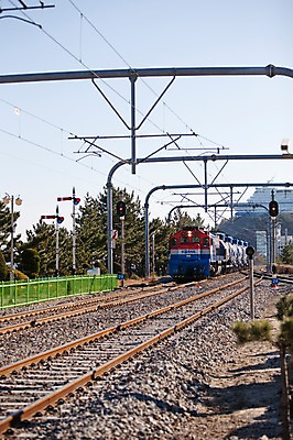 포토 JPG 주간 나무 식물 육상교통 교통수단 교통 교통시설 자연 하늘 한국 풍경 사람없음 관광지 맑음 기찻길 원근감 기차 전선 소나무 정동진 철도의날 국내포토 자연요소 아시아 뷰포인트 여행 날씨 대중교통 시설 생태계 강릉 파일형식 법정기념일