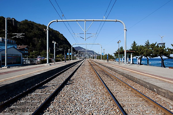 포토 JPG 주간 나무 식물 육상교통 교통수단 바다 교통 겨울 교통시설 자연 하늘 한국 풍경 사람없음 관광지 맑음 기찻길 원근감 기차 전선 소나무 동해 정동진 철도의날 국내포토 자연요소 계절 아시아 뷰포인트 여행 날씨 대중교통 시설 생태계 강릉 파일형식 법정기념일