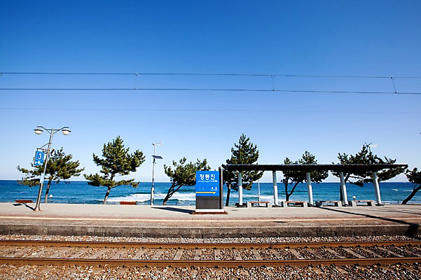 포토 JPG 주간 나무 식물 건축물 도로 길 바다 교통 겨울 교통시설 자연 하늘 한국 풍경 해변 사람없음 야외 건물 관광지 햇빛 태양 맑음 기찻길 원근감 전선 소나무 표지판 역 동해 기차역 정동진 곰솔 철도의날 국내포토 자연요소 계절 건축 아시아 뷰포인트 여행 날씨 알림판 시설 생태계 강릉 파일형식 법정기념일