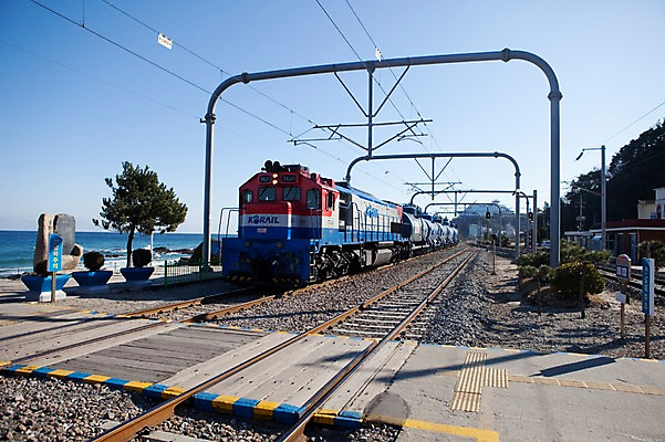 포토 JPG 주간 나무 식물 육상교통 교통수단 바다 교통 교통시설 자연 하늘 한국 풍경 사람없음 관광지 맑음 기찻길 원근감 기차 전선 소나무 동해 정동진 철도의날 국내포토 자연요소 아시아 뷰포인트 여행 날씨 대중교통 시설 생태계 강릉 파일형식 법정기념일