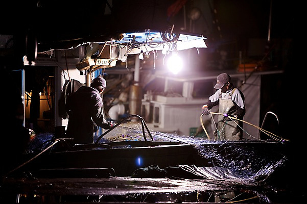 포토 JPG 남자 바다 수상교통 겨울 노동자 조명 한국 어업 사람 풍경 해변 야외 두명 빛 어둠 작업 그물 어선 작업실 야간 저녁 어부 어촌 고기잡이 동해 선박 남자만 국내포토 자연요소 직업 계절 산업 아시아 교통수단 배_교통 시골 파일형식