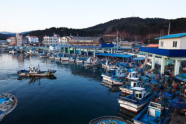 포토 JPG 건축물 바다 수상교통 겨울 한국 어업 풍경 해변 사람없음 건물 항구 어선 정박 해안도시 어촌 동해 선박 국내포토 계절 건축 산업 아시아 교통수단 배_교통 교통시설 시골 도시 파일형식