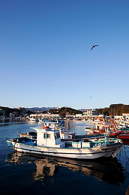 포토 JPG 주간 동물 건축물 바다 수상교통 겨울 갈매기 조류 하늘 한국 어업 풍경 해변 사람없음 야외 건물 항구 맑음 어선 정박 해안도시 어촌 동해 선박 국내포토 자연요소 계절 건축 산업 아시아 교통수단 배_교통 교통시설 날씨 시골 도시 파일형식