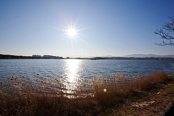 포토 JPG 주간 나무 식물 건축물 호수 자연 하늘 한국 갈대 물그림자 풍경 사람없음 야외 건물 강 햇빛 태양 맑음 풀 정자 갈대밭 강릉 경포호수 국내포토 자연요소 건축 아시아 날씨 그림자 생태계 강원도 파일형식 갈대_식물