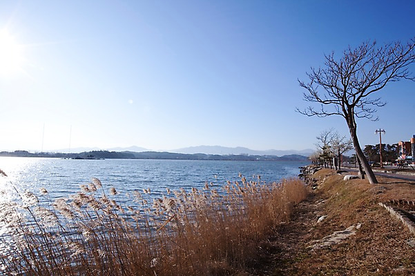 포토 JPG 주간 나무 식물 도로 길 호수 가로등 자연 하늘 한국 갈대 풍경 사람없음 야외 강 햇빛 태양 맑음 정자 갈대밭 강릉 경포호수 국내포토 자연요소 건축물 공공시설 아시아 교통시설 날씨 생태계 강원도 파일형식 갈대_식물
