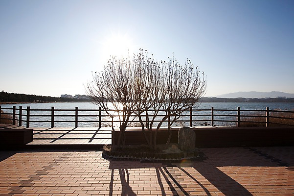 포토 JPG 주간 나무 식물 호수 벤치 의자 한국 그림자 풍경 사람없음 야외 울타리 강 햇빛 태양 맑음 전망대 강릉 경포호수 국내포토 자연요소 아시아 가구 날씨 담장 강원도 파일형식