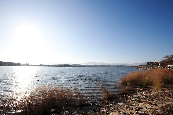 포토 JPG 주간 식물 동물 호수 자연 조류 하늘 한국 갈대 풍경 사람없음 야외 강 햇빛 맑음 정자 갈대밭 강릉 청둥오리 경포호수 국내포토 자연요소 건축물 아시아 날씨 오리 태양 생태계 강원도 파일형식 갈대_식물