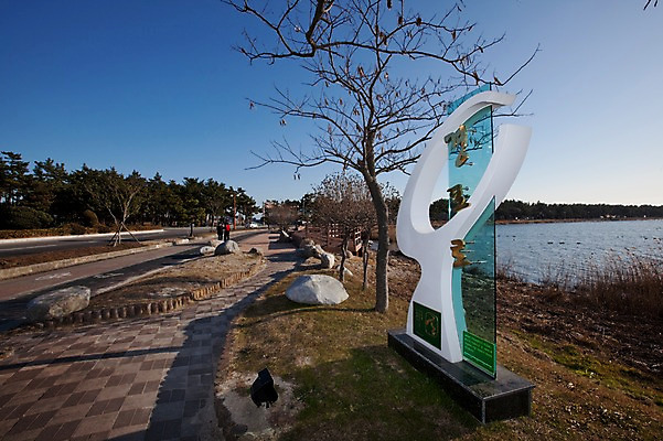 포토 JPG 주간 나무 식물 도로 길 호수 하늘 한국 풍경 야외 두명 강 조형물 조각상 산책로 강릉 경포호수 국내포토 자연요소 아시아 교통시설 미술 사람 강원도 파일형식