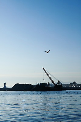 포토 JPG 주간 동물 한마리 바다 수상교통 겨울 조류 하늘 한국 등대 풍경 사람없음 야외 도시풍경 항구 도시 기중기 방파제 해안도시 동해 무역항 선박 국내포토 자연요소 1 계절 공공시설 아시아 교통수단 교통시설 중장비 무역 파일형식