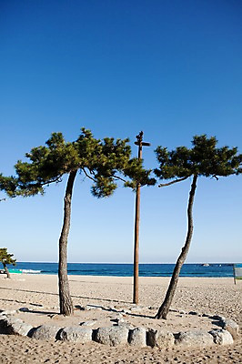 포토 JPG 주간 나무 식물 한국문화 한국전통 전통 전통문화 문화 바다 겨울 자연 하늘 한국 풍경 해변 사람없음 야외 목재 장식 모래사장 조형물 맑음 기둥 소나무 공예 공예품 전통공예 무속 동해 목공예 민속공예 침엽수 두그루 솟대 민간신앙 수호신 국내포토 자연요소 동양문화 계절 건축 아시아 종교 2 재료 날씨 미술 취미 신_종교 생태계 파일형식
