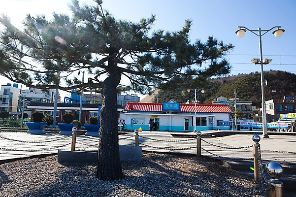포토 JPG 주간 나무 식물 건축물 가로등 산 한국 그림자 풍경 야외 건물 관광지 울타리 소나무 역 전봇대 동해 기차역 강릉 정동진 국내포토 자연요소 공공시설 건축 아시아 바다 여행 교통시설 담장 강원도 파일형식