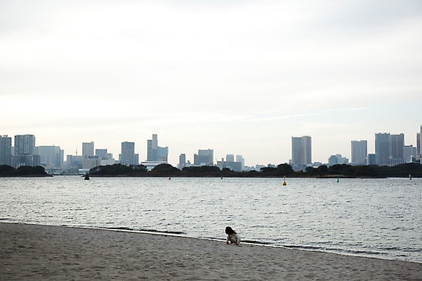 포토 JPG 주간 해외풍경 해외 건축물 공원 현대건축 아시아 어린이 바다 한명 사람 풍경 해변 야외 건물 도시풍경 모래사장 소풍 일본 고층빌딩 놀이공원 동경 도시 도심 도쿄 해안도시 오다이바 해상공원 해상도시 어린이만 국내포토 자연요소 1 공공시설 건축 나라 빌딩 야외활동 테마파크 파일형식
