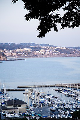 포토 JPG 주간 나무 식물 해외풍경 해외 아시아 교통수단 바다 섬 수상교통 풍경 해변 사람없음 야외 하이앵글 도시풍경 항구 일본 도시 보트 정박 해안도시 가마쿠라 에노시마 선박 국내포토 자연요소 나라 뷰포인트 교통 배_교통 교통시설 파일형식