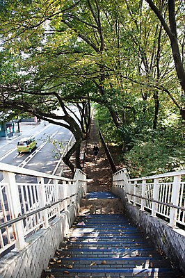 포토 JPG 주간 나무 식물 해외풍경 해외 시설물 아시아 도로 길 교통시설 자동차 거리 거리풍경 한명 사람 풍경 야외 도시풍경 계단 일본 원근감 차도 동경 도시 보행자 보행로 도쿄 육교 내리막 무사시코가네이 국내포토 자연요소 1 건축물 나라 육상교통 뷰포인트 교통 다리_건축물 시설 파일형식