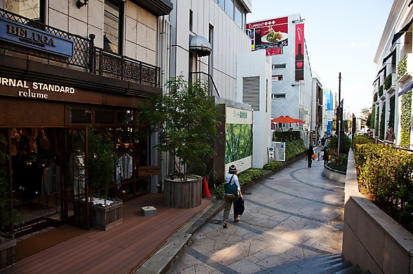 포토 JPG 주간 나무 식물 해외풍경 해외 아시아 화분 거리 주택 거리풍경 사람 풍경 여러명 야외 도시풍경 상점 일본 동경 도시 보행자 도쿄 하라주쿠 국내포토 자연요소 나라 다수 건물 파일형식