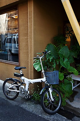 포토 JPG 주간 식물 해외풍경 해외 건축물 아시아 화분 육상교통 교통수단 거리 주택 거리풍경 풍경 사람없음 야외 건물 도시풍경 일본 자전거 바이크 동경 도시 도쿄 주차 주택가 하라주쿠 국내포토 자연요소 건축 나라 교통 파일형식