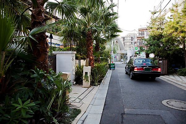 포토 JPG 주간 나무 식물 해외풍경 해외 건축물 아시아 도로 길 자동차 거리 주택 거리풍경 풍경 사람없음 야외 건물 도시풍경 야자수 일본 원근감 동경 도시 도쿄 골목길 주택가 롯본기 국내포토 자연요소 건축 나라 육상교통 뷰포인트 교통시설 파일형식