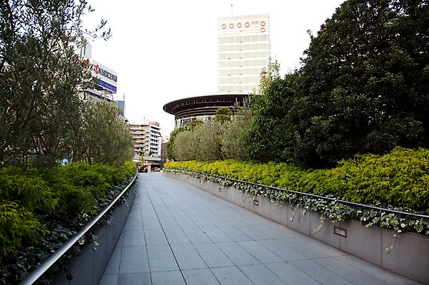 포토 JPG 주간 나무 식물 해외풍경 해외 건축물 아시아 도로 길 거리 거리풍경 풍경 사람없음 야외 건물 도시풍경 일본 원근감 동경 도시 도쿄 롯본기 국내포토 자연요소 건축 나라 뷰포인트 교통시설 파일형식